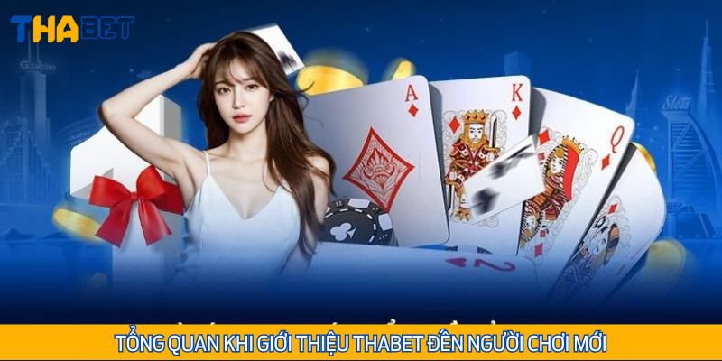 Giới thiệu Thabet tổng quan